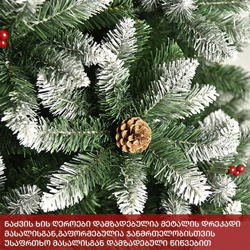 ნაძვის ხე დათოვილი, გირჩით და კენკრით 180 სმ-დან 240 სმ-მდე - Image 3