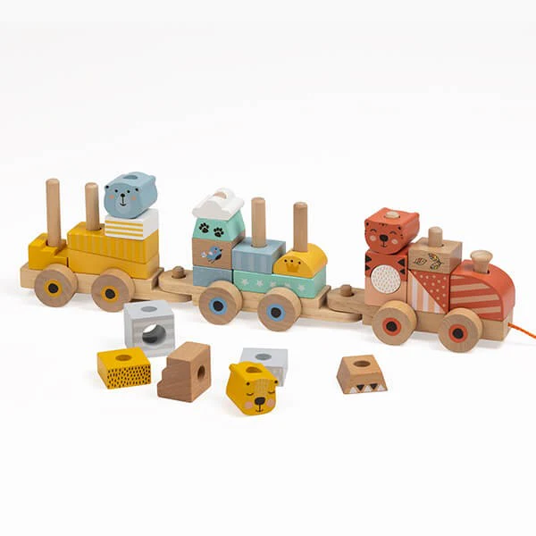 სათამაშო ხის მატარებელი EurekaKids Wooden train blocks R0503
