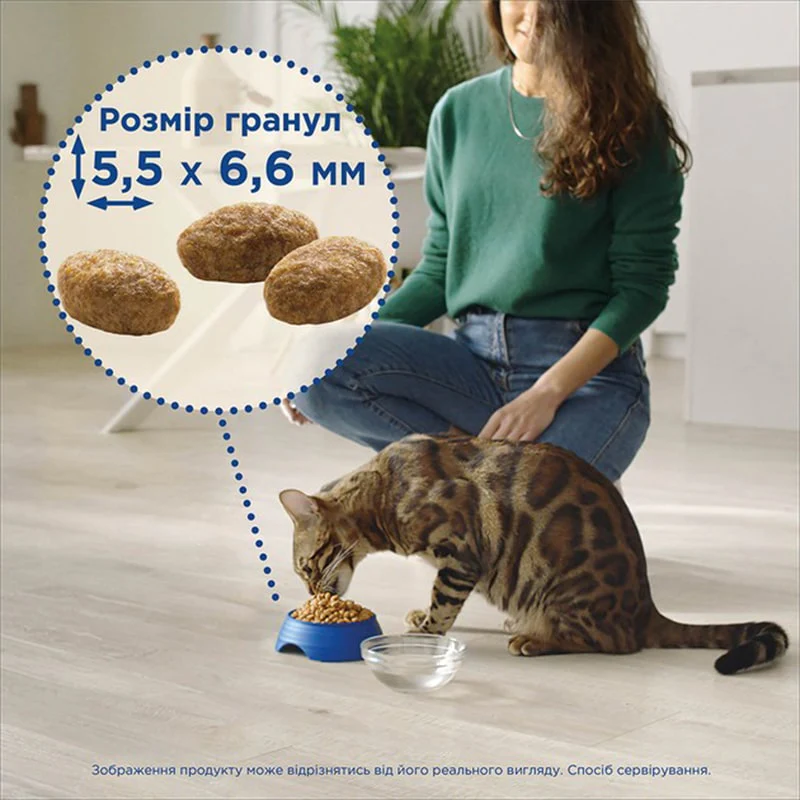 კატის მშრალი საკვები Purina Cat Chaw - Image 3