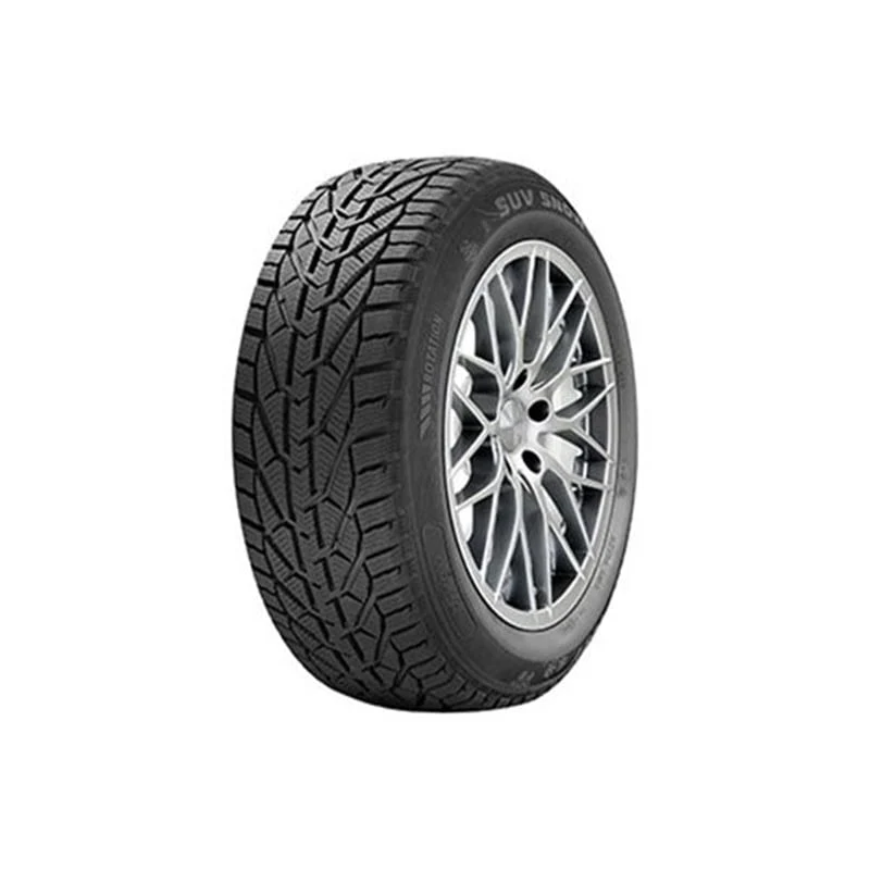 საბურავი 205/45R17 SNOW RIKEN 20111091