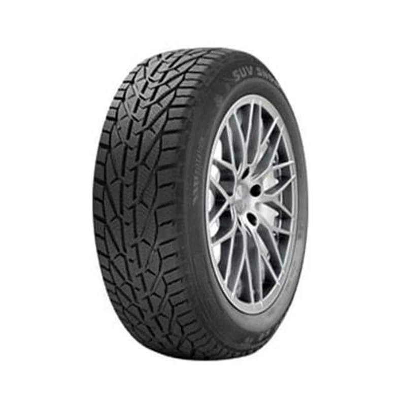 საბურავი 215/40R17 SNOW RIKEN 20113123