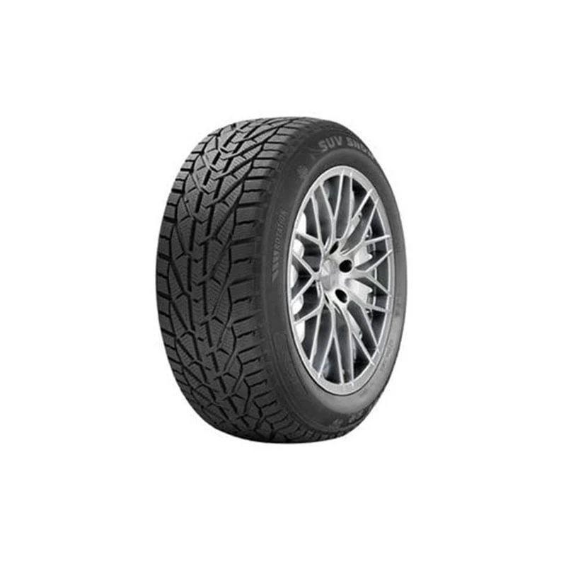საბურავი 225/45R18 SNOW RIKEN 20110980