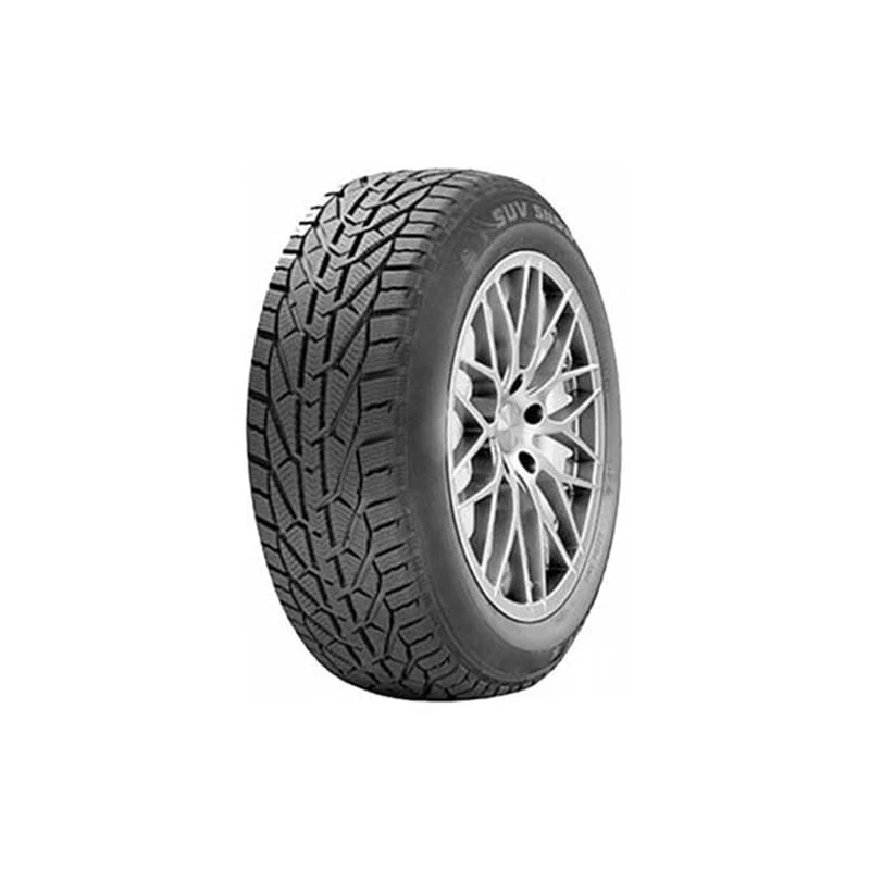 საბურავი 245/45R18 SNOW RIKEN 20111033