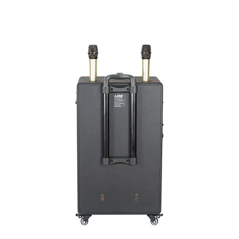 Bluetooth დინამიკი AILIANG LiGE-155 - Image 3