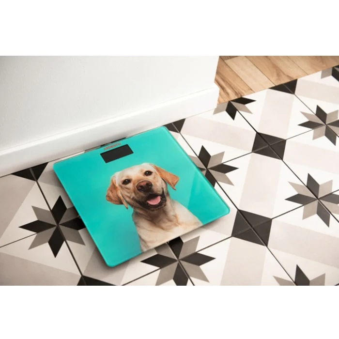 იატაკის სასწორი ARDESTO SCB-965DOG - Image 6