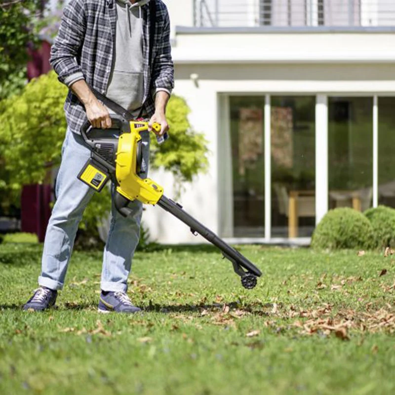 საბაღე ელექტრო მტვერსასრუტი Karcher BLV 36-240 - Image 3
